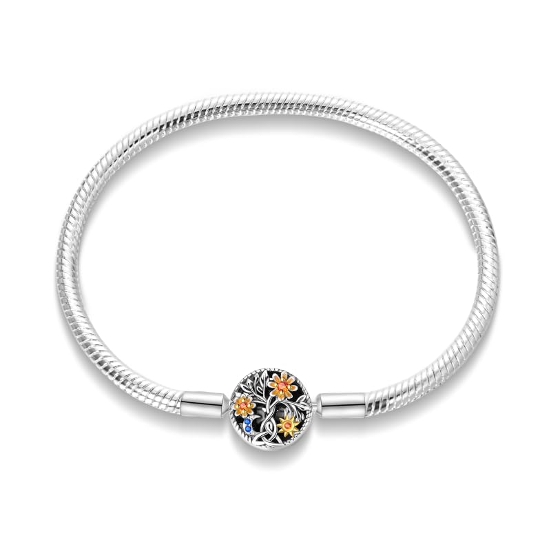 Pulsera de Dijes de Plata de Ley para Mujer Cierre de Corazón - Terzo stile